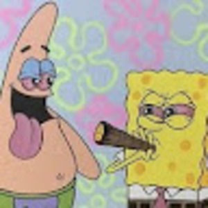 Meet your Posher, Logan